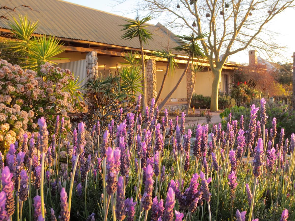 Masada Guest House Langebaan Exterior photo